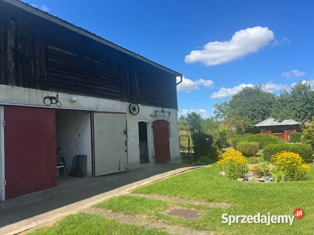 Syndyk sprzeda udział w wysokości 14 Kłodowo Sprzedaż sprzedam