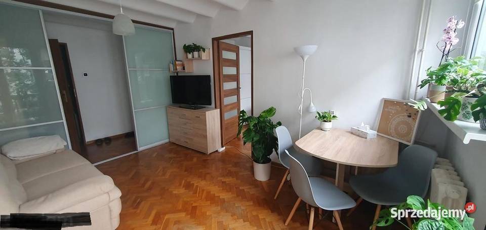 2pok 38met Lwowskiej BALKONPIWNICA Wrocław Wynajem