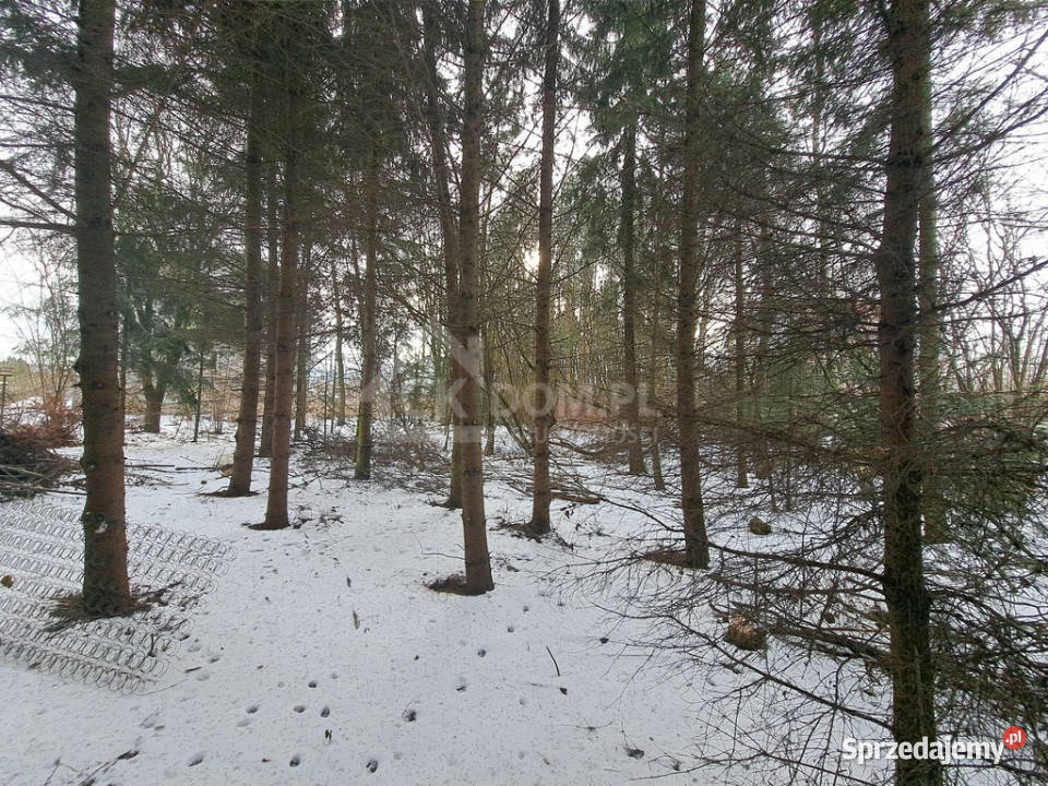 Dom do remontu w Jaworzni mieszkalny