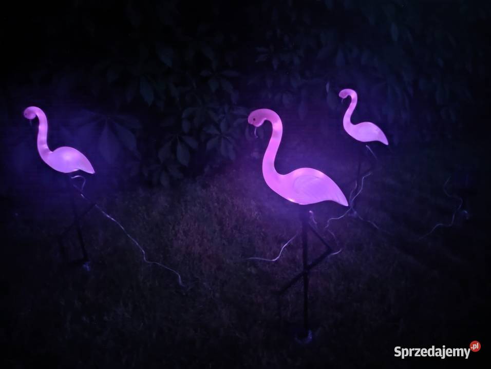 NOWY Zestaw 3xFlamingi solarny LED do ogrodu śląskie Blachownia sprzedam