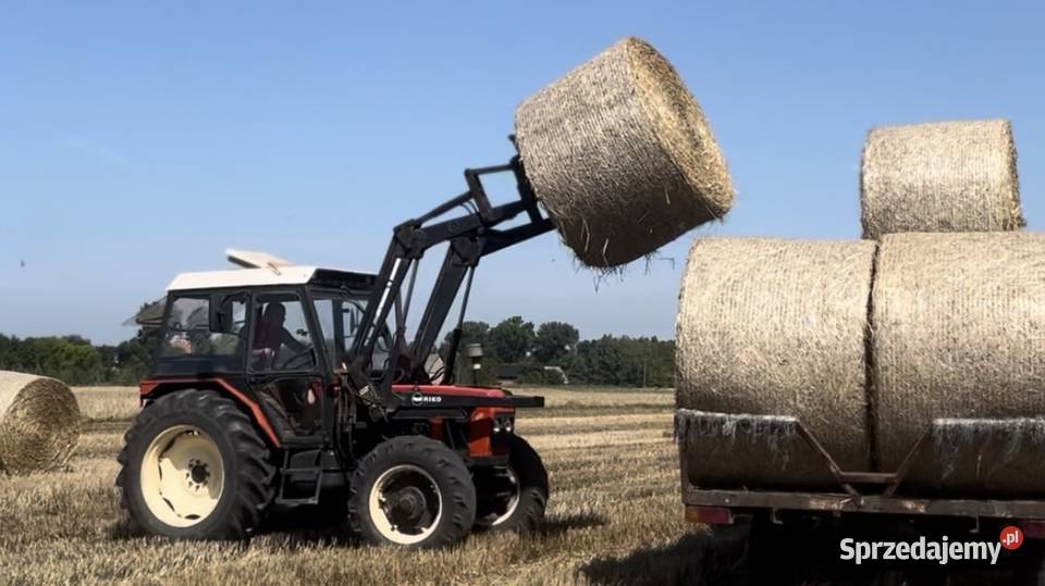 Zetor 7245 z turem Dziwie