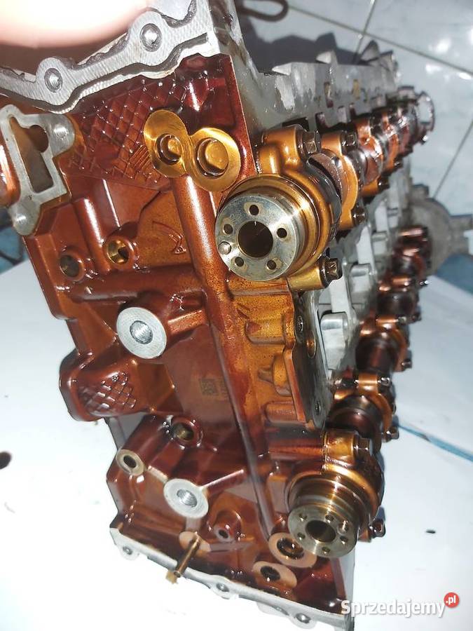 Głowica opel astra insignia16T LWC A16XHT B16SHL osobowe Pozostałe