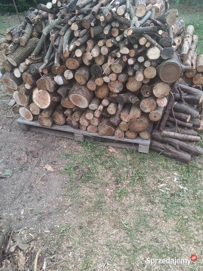 drewno sosnowe suszki drewno z leszczyny klona i Lublin