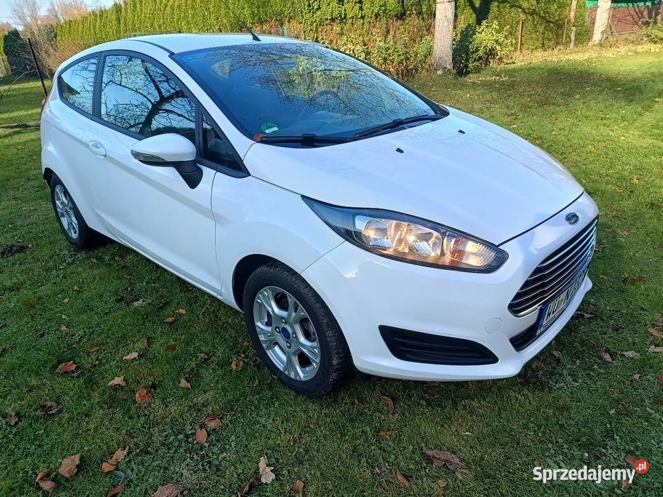 Ford Fiesta Mały przebieg Skoczów