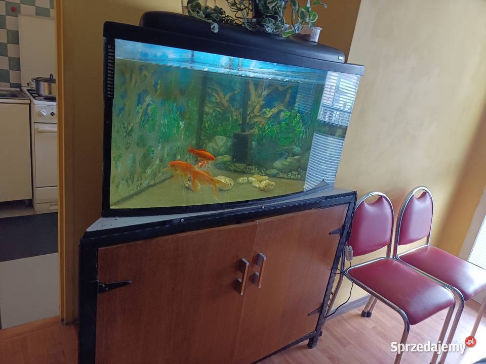 Akwarium panoramiczne 175 l lubuskie Nowa Sól