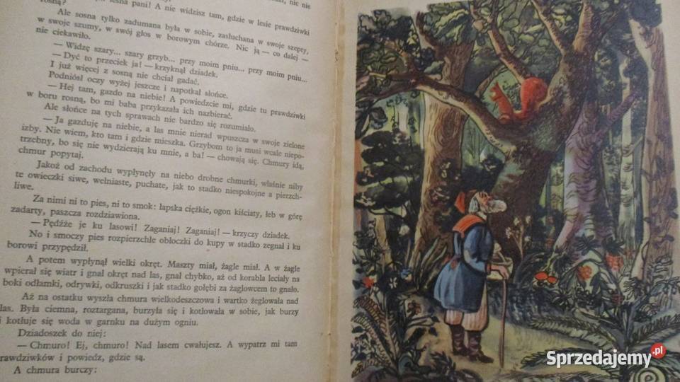 Bajdurki Porazińska bajki wiersze łódzkie Łódź