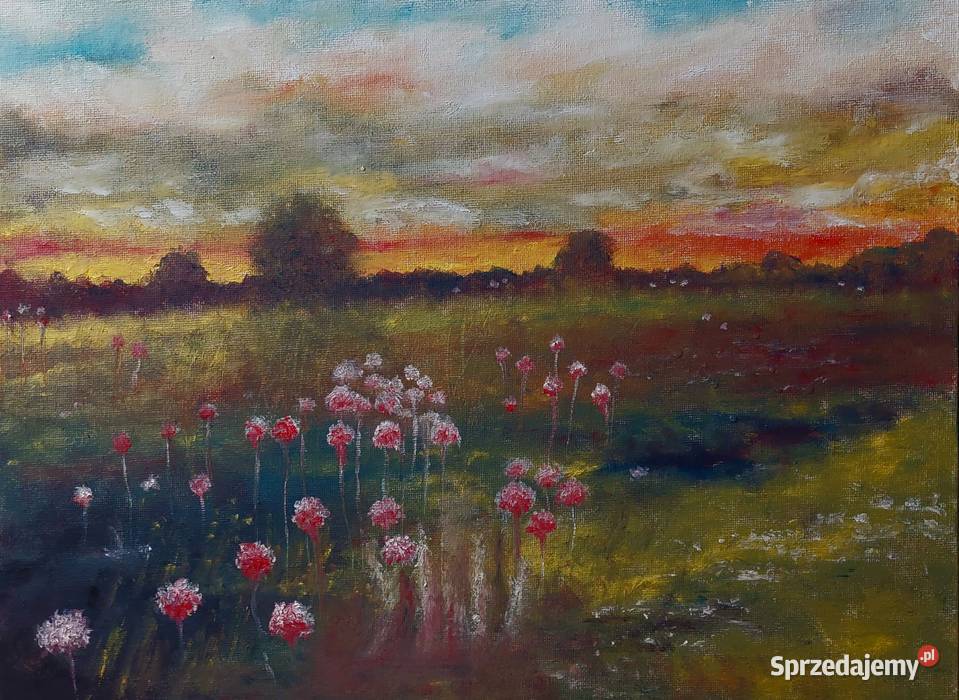 Chata wsią obraz ręcznie malowany Promocja