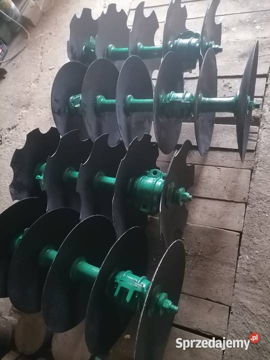 Talerzówka famarolu Słupsk podkarpackie Osobnica