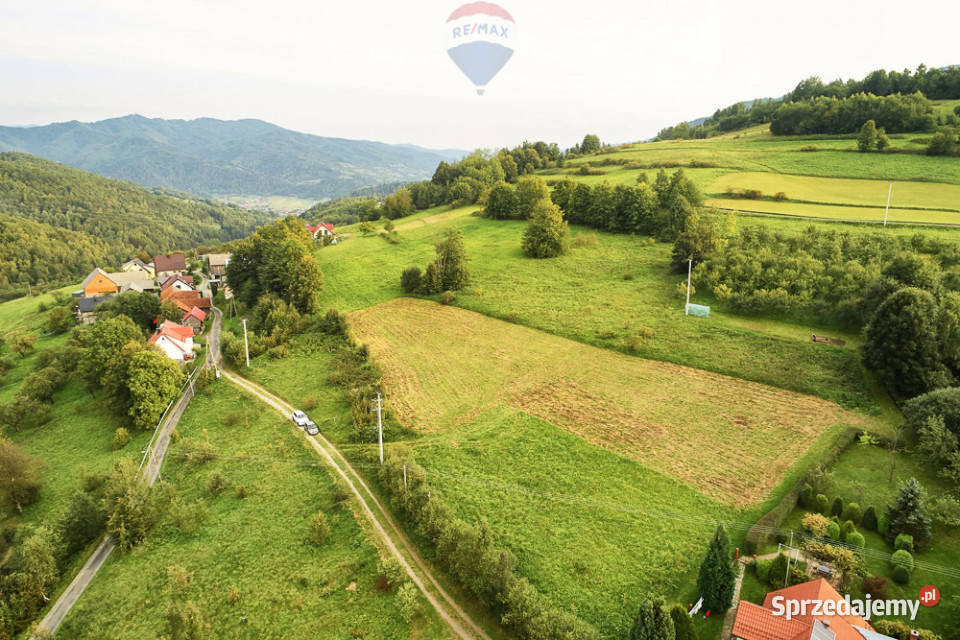 Działka budowlana 43 ary Ochotnica Dolna 30m