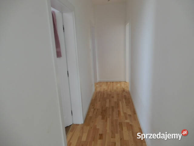 Syndyk sprzeda działki o numerze 2571 224 221 Trzeszyn