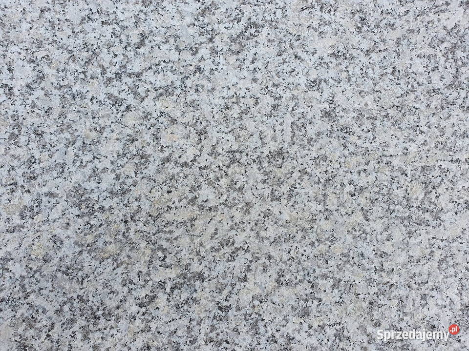 Stopnica granitowa szara G602 Bianco Sardo Tczew