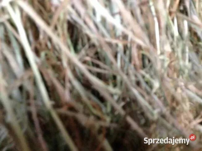 słoma x40 bele Wierzbica Chylin