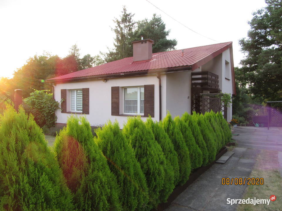 Sprzedam dom w Marzyszu Pierwszym siatka