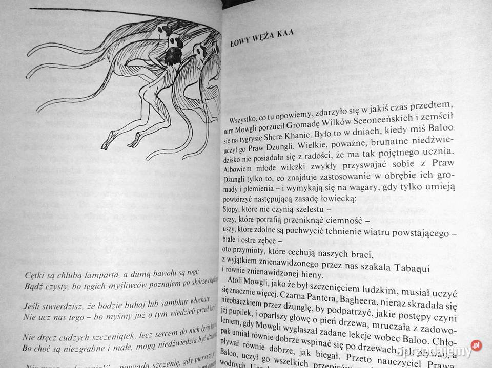 Księga dżungli Rudyard Kipling Pozostałe lubelskie Chełm