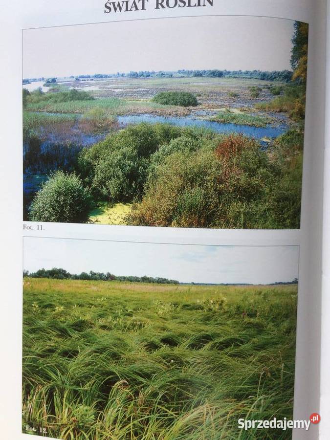 3014 Dolina Dolnej Odry Szczecin