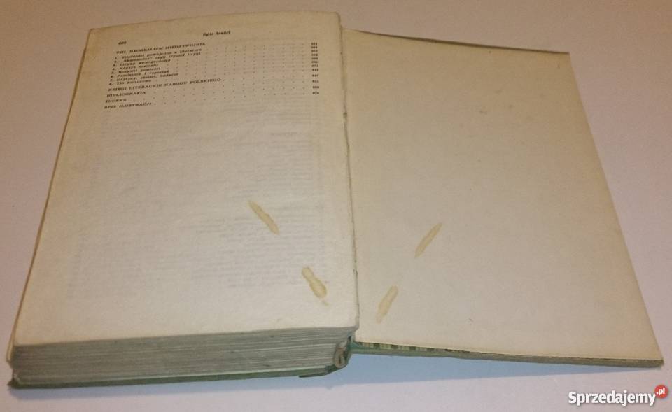 Julian Krzyżanowski Dzieje Literatury Polskiej Rok wydania 1972 Rogoźnik