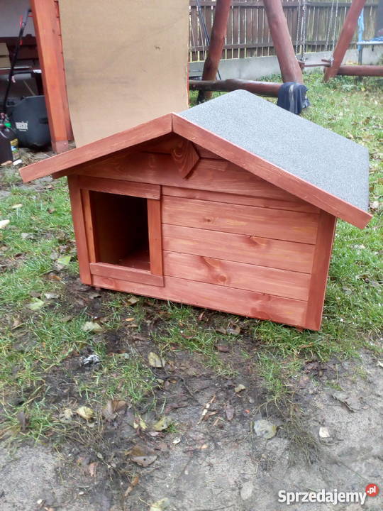 Domek kotów Grodziec sprzedam