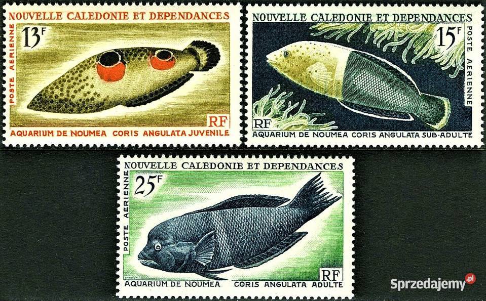 NOWA KALEDONIA 19591965dwie serieżycie morskie Człuchów