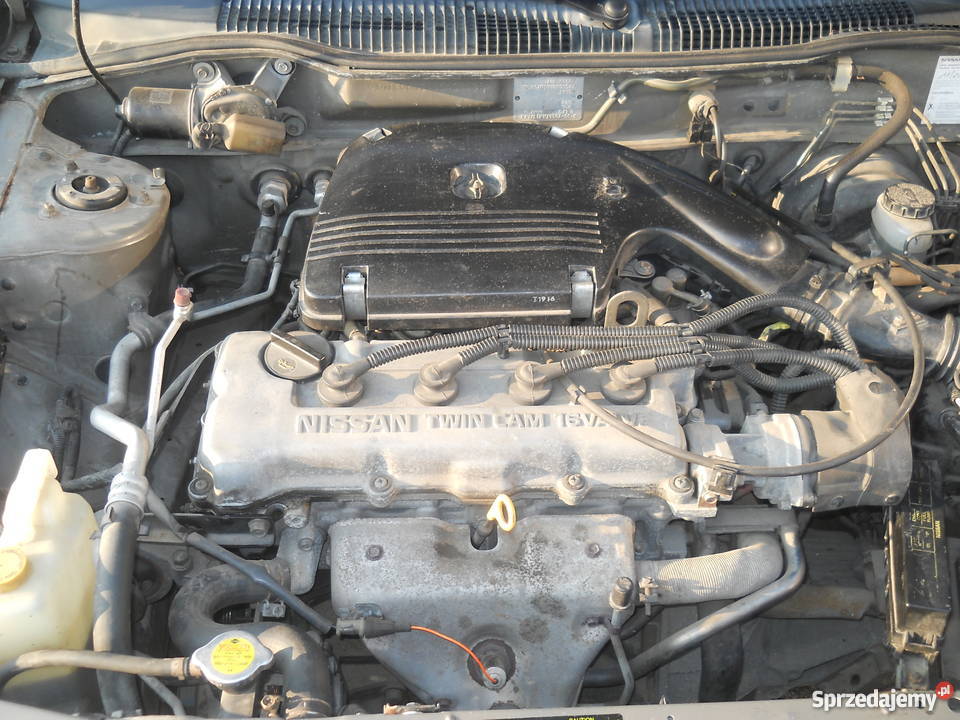 NISSAN SUNNY KLIMA Sandomierz