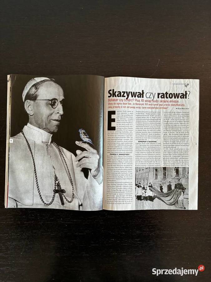 Magazyn Focus Historia 22009 luty Elbląg sprzedam