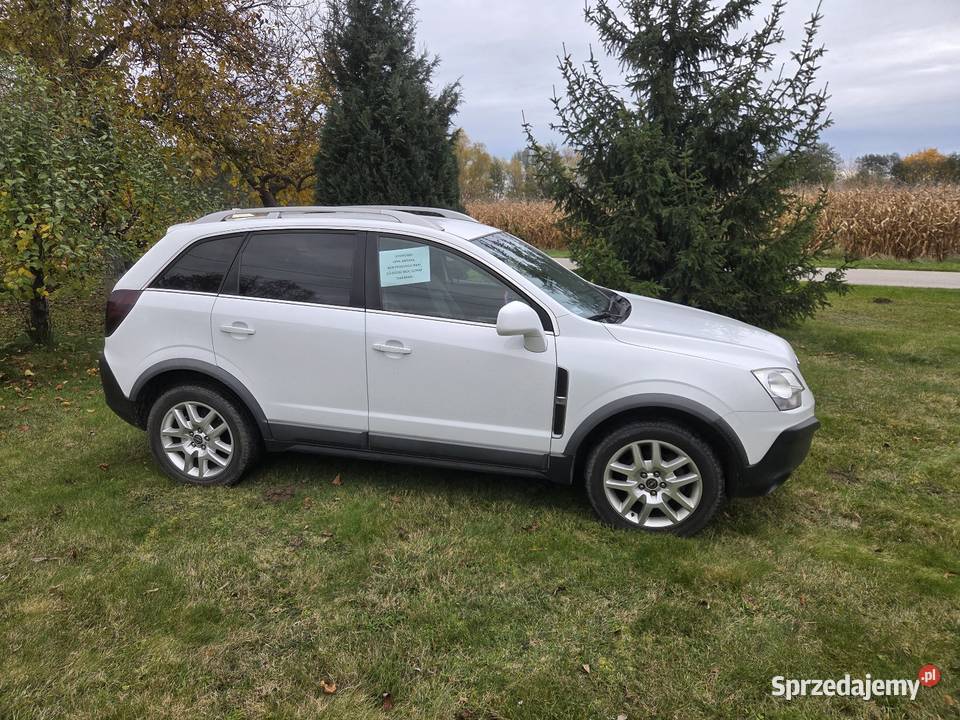 Opel Antara Antara Solec nad Wisłą