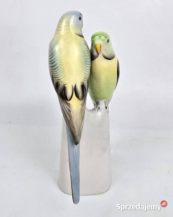 Papużki faliste zielone Hollohaza papugi Węgry mazowieckie