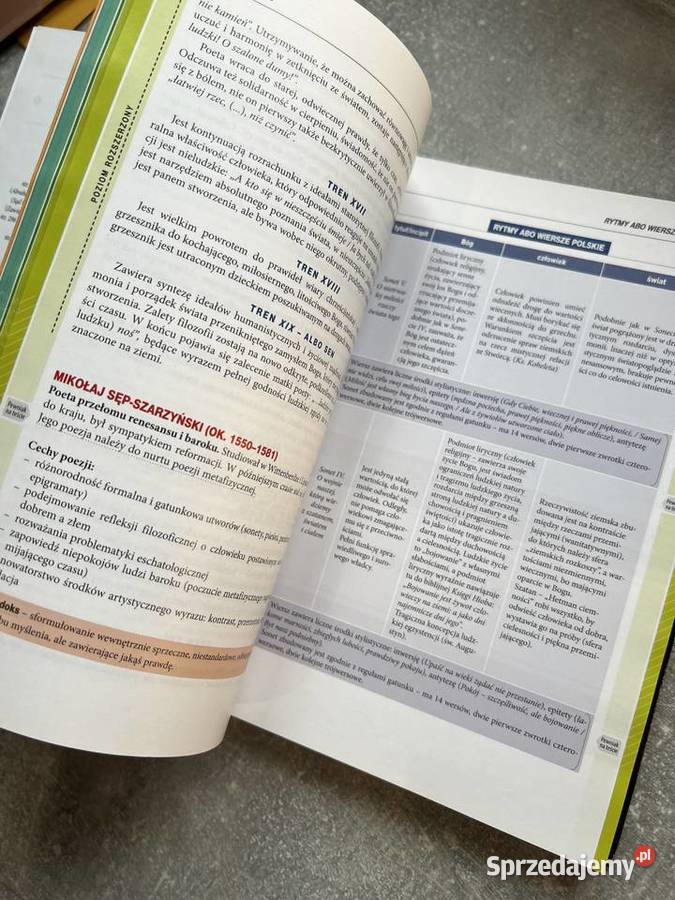 Matura Język Polski Vademecum Greg podkarpackie