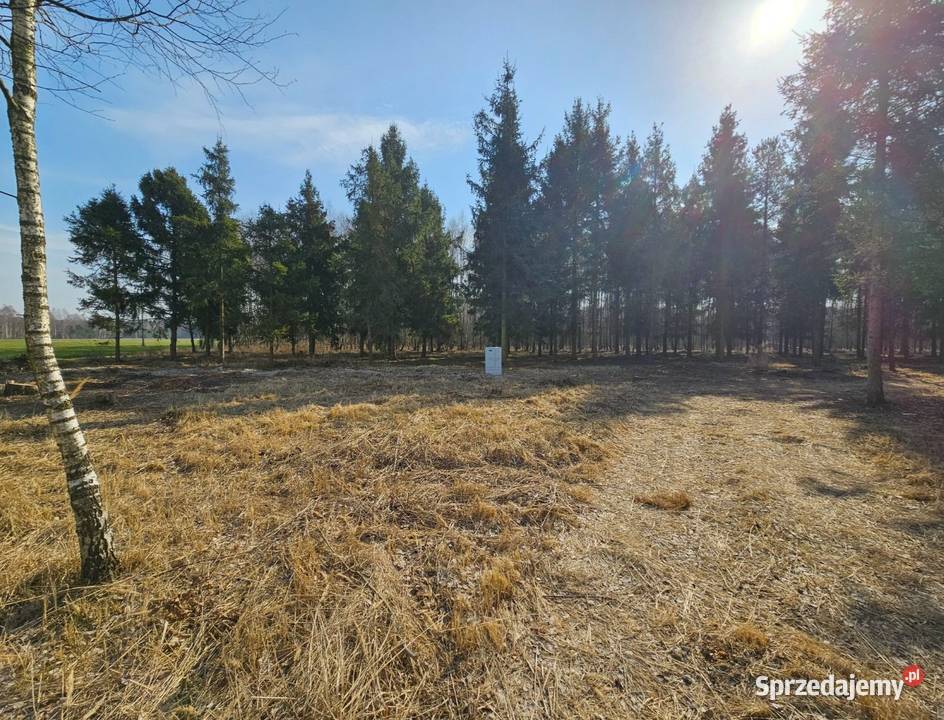 Działka bud 1202M2 WZ STUDNIE