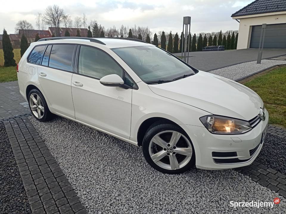 volkswagen golf 7 16 TDI Stegna