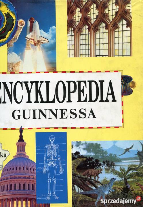 Encyklopedia Guinnessa Szczecin