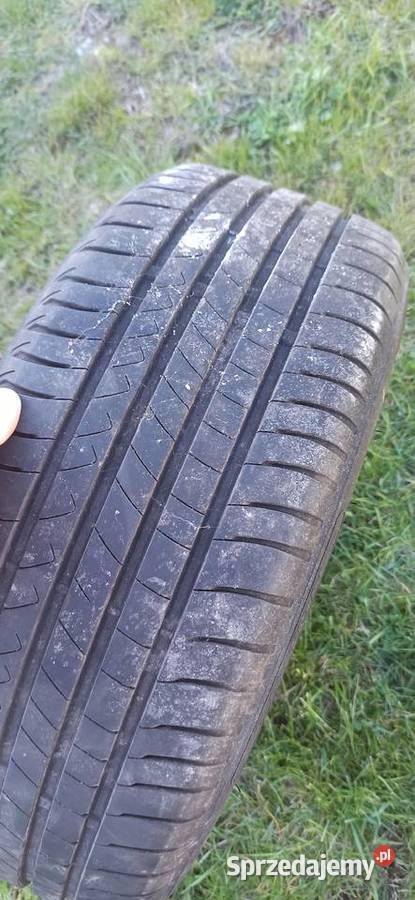 Avus 17 2055017
