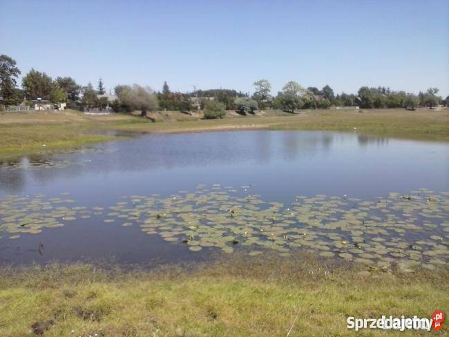 działki rekreacyjne Bindużka asfalt