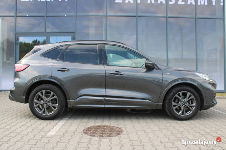 FORD Kuga 2021r FV23 Alcantara BO HAK BLIS El benzyna Bielsko-Biała