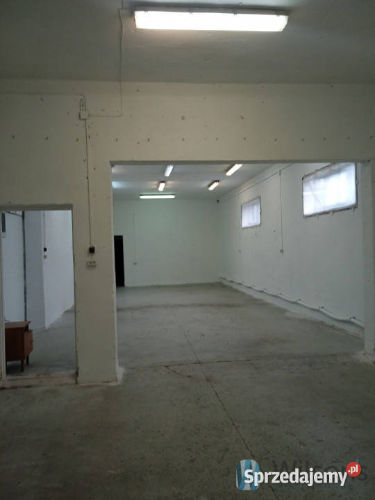 Lokal Janiszew 250m2