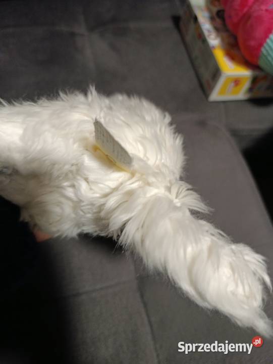 kot biały pluszak maskotka zabawka pluszowa Poznań