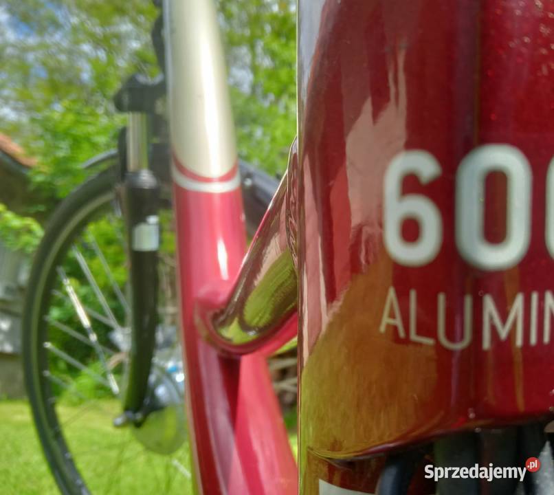 Szwajcarski EBike Kristall Shimano Nexus Okazja małopolskie Nowy Sącz