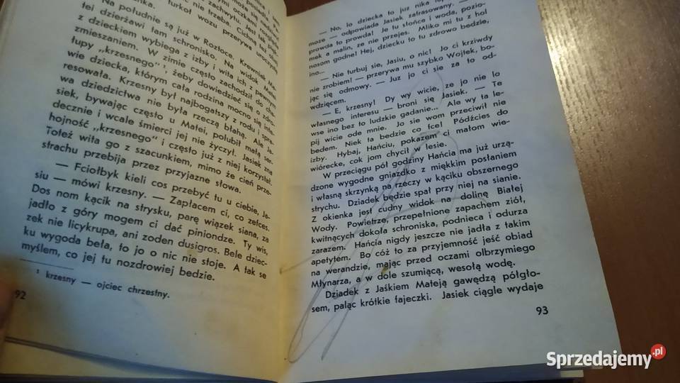 Pojednanie powieść o niedźwiedziu tatrzańskim pomorskie Gdańsk