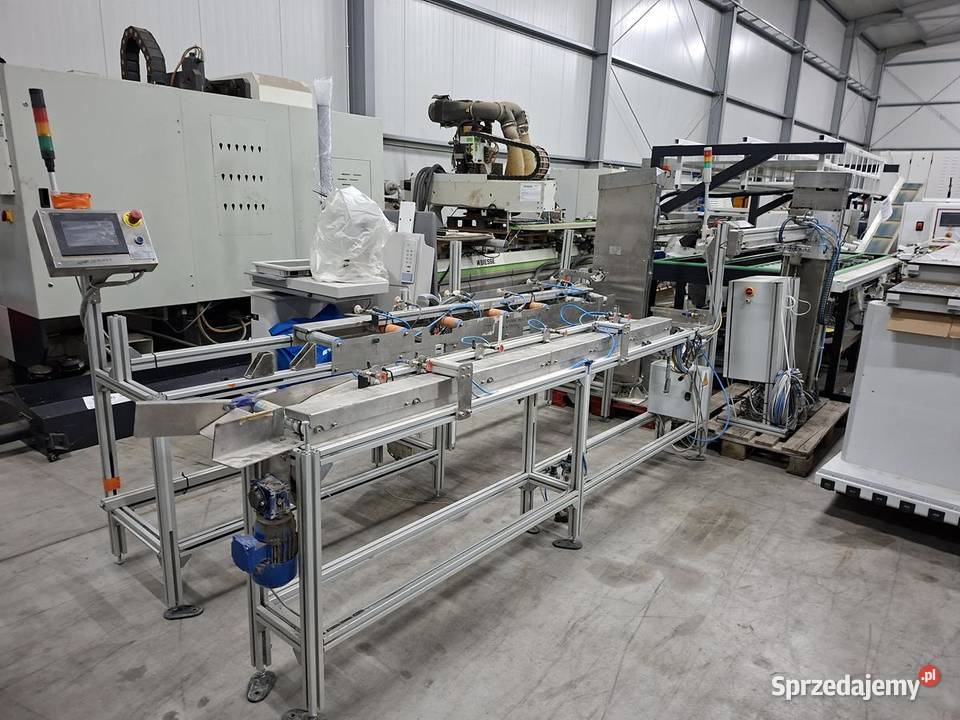 ROBOTIGO robot paletyzujący z transporterem 2700