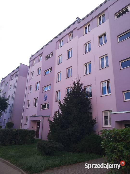 Wynajmę piwnicę w bloku Ogińskiego 5357 Gorzów Wynajem Gorzów Wielkopolski