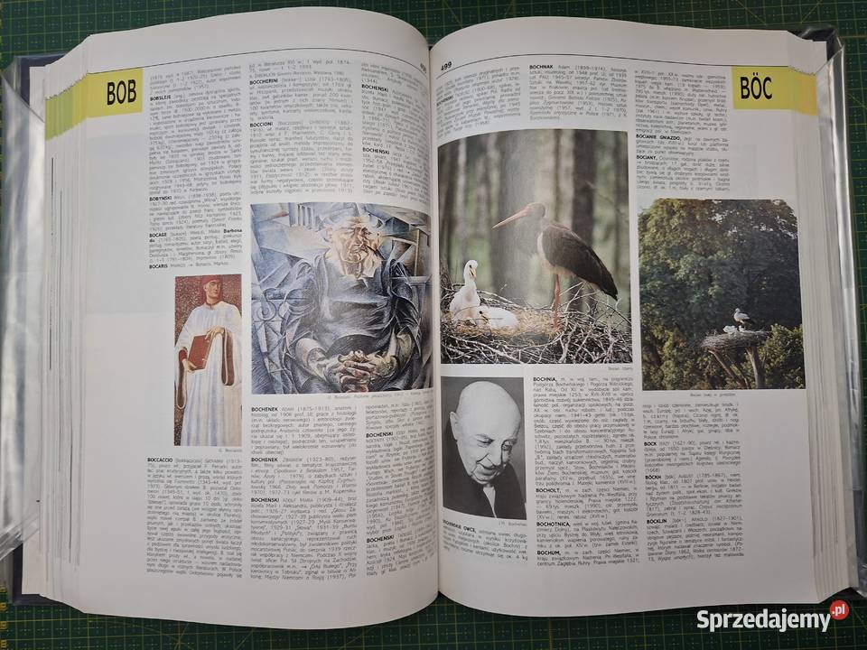 Nowa Encyklopedia Powszechna 6 tomów PWN