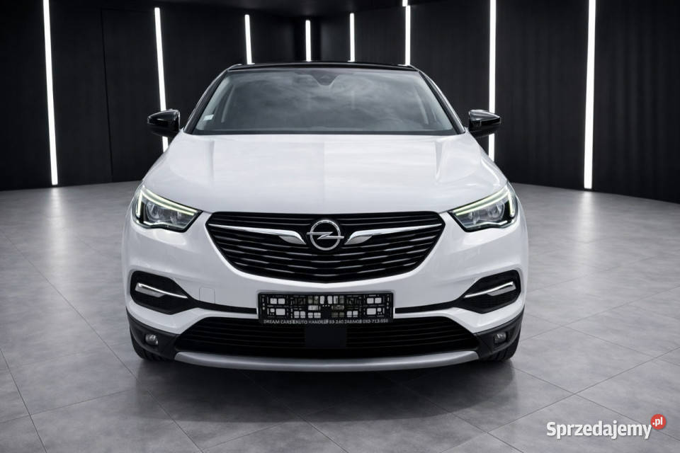 Opel Grandland X AUTOMATbezwypadkowynavikamera kamera cofania Żabno