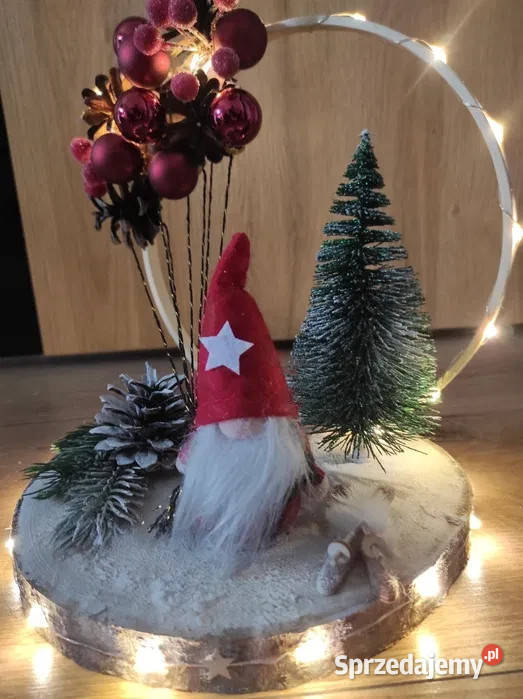 Stroik skrzat na nartach Oleśnica