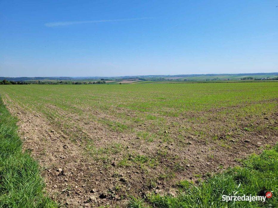 Działka rolna 112 ha Sprzedaż