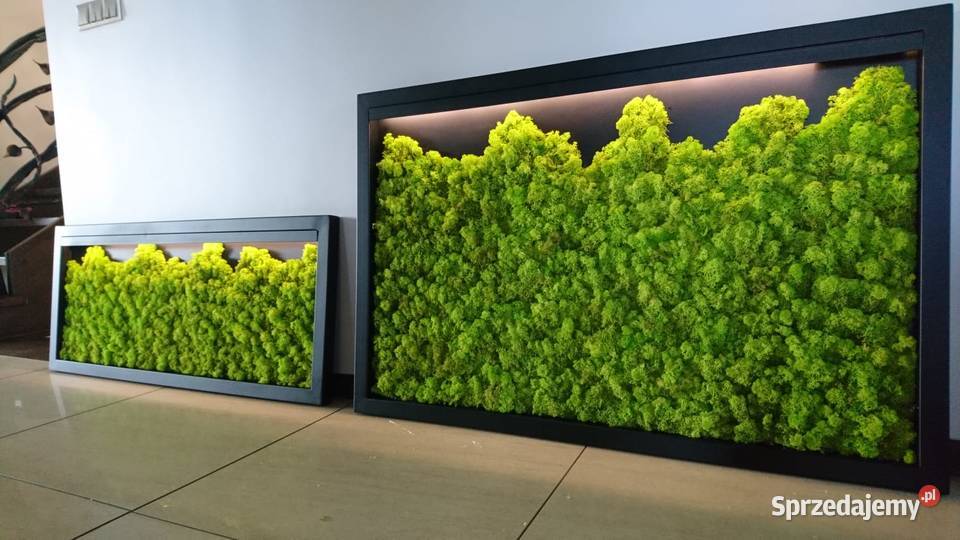 Ekoobraz stalowa rama mech chrobotek led Dekoracje i ozdoby