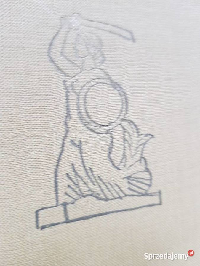 Szkice warszawskie Karol Małcużyński Pierwsze świętokrzyskie Kielce