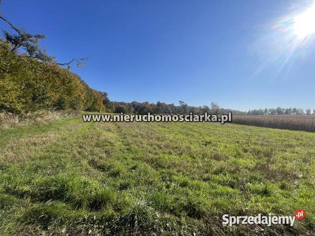 Grunt 15327m2 Syrynia