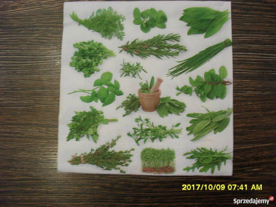 Zestaw serwetek do decoupage z ziołami Bochnia