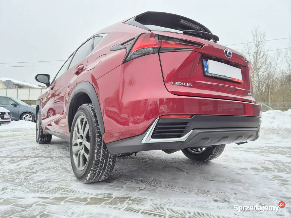 Lexus NX Bezwypadkowy I 20142021 Rok produkcji 2017 Konstancin-Jeziorna