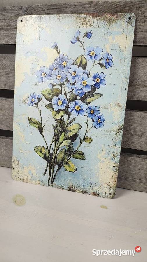 Tabliczka metalowa Obrazki i obrazy Łódź