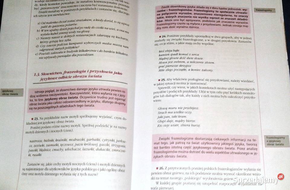 Ćwiczymy swój język 1 Wiadomości i zadania E